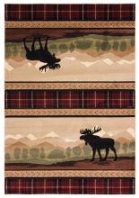 United Weavers Cottage 2055 407 Imgs Transitional Southwest Area Rugs